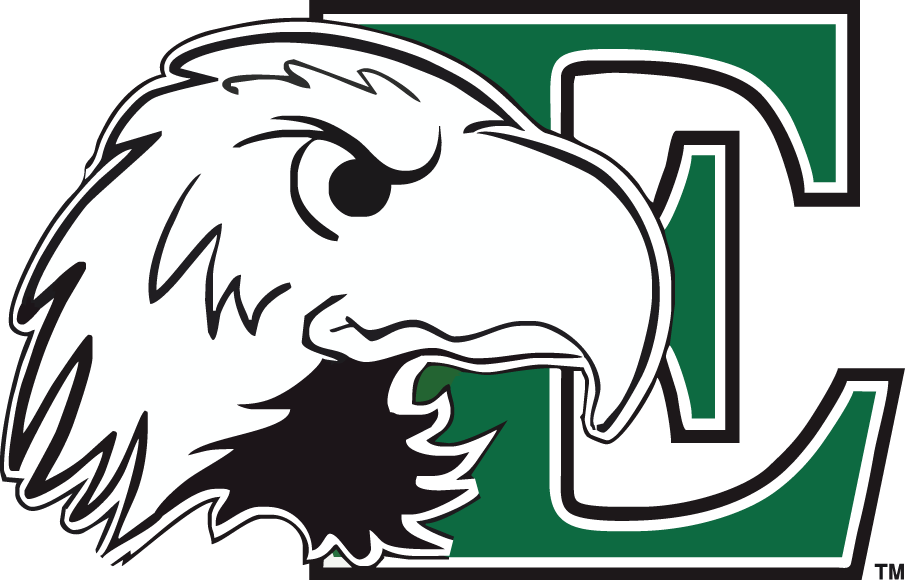 Eastern Michigan Eagles 2003-2012 Primary Logo DIY iron on transfer (heat transfer)